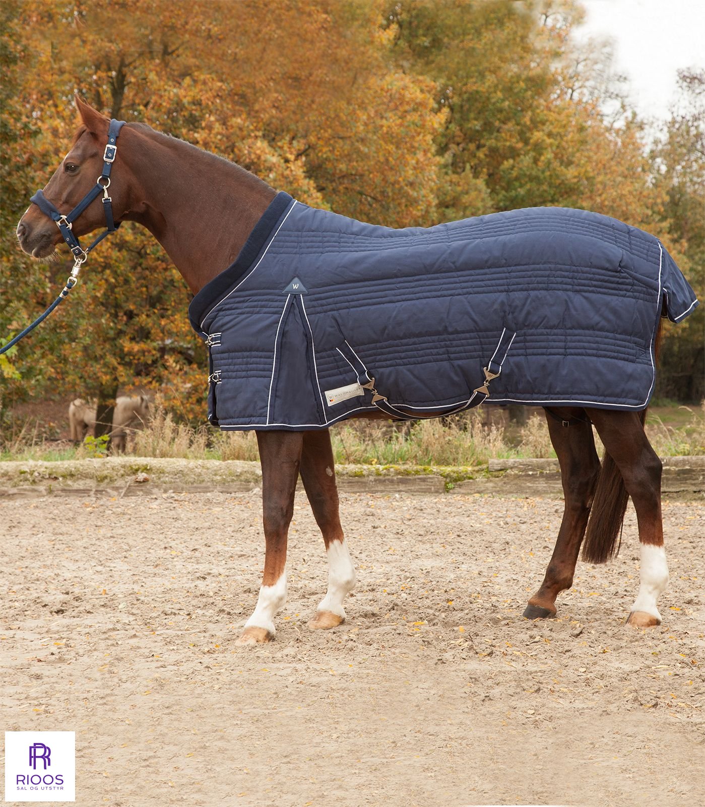 COMFORT Stall dekken, 300 G Stalldekken Rioos